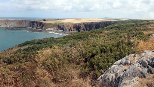 Panoramic View of Abereiddy Bay