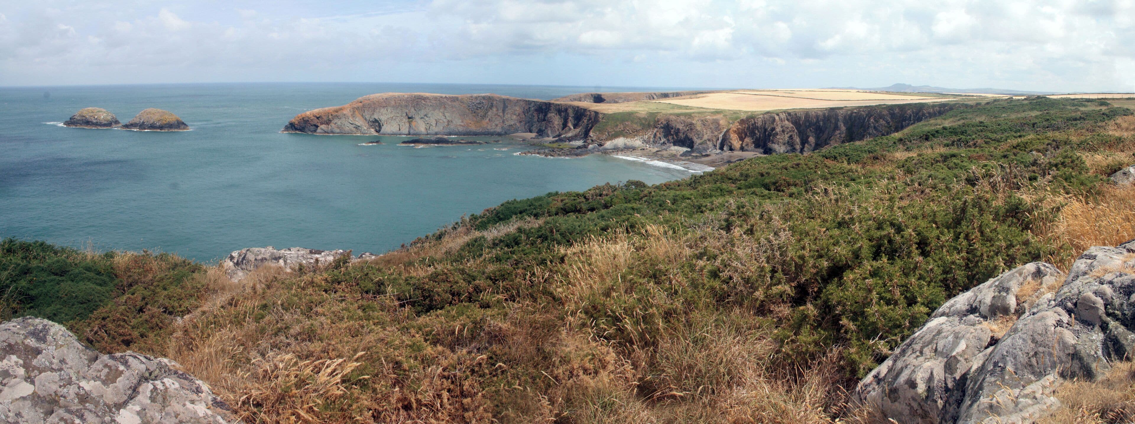 A coastal landscape with cliffs, a beach, and sparse vegetation.