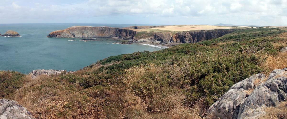 A coastal landscape with cliffs, a beach, and sparse vegetation.