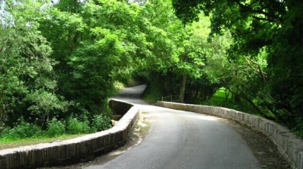 Triffleton Bridge Triffleton Bridge crossing Spittal Brook at the bottom of Golden hill, Spittal.