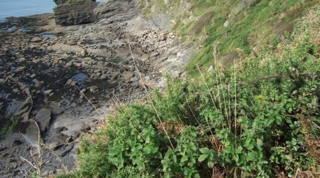 Emmett Rock north of Broad Haven