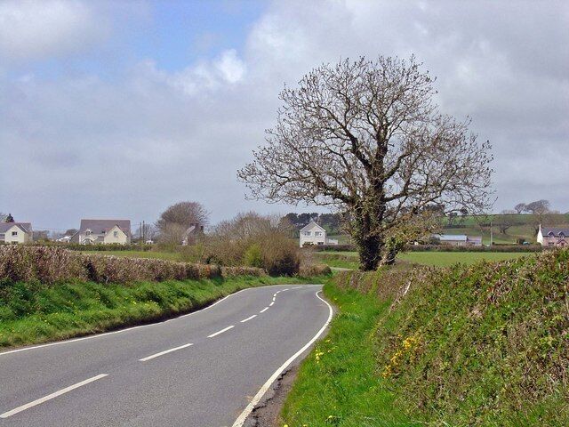 A rural road curving through a countryside with houses and a large tree on the side.