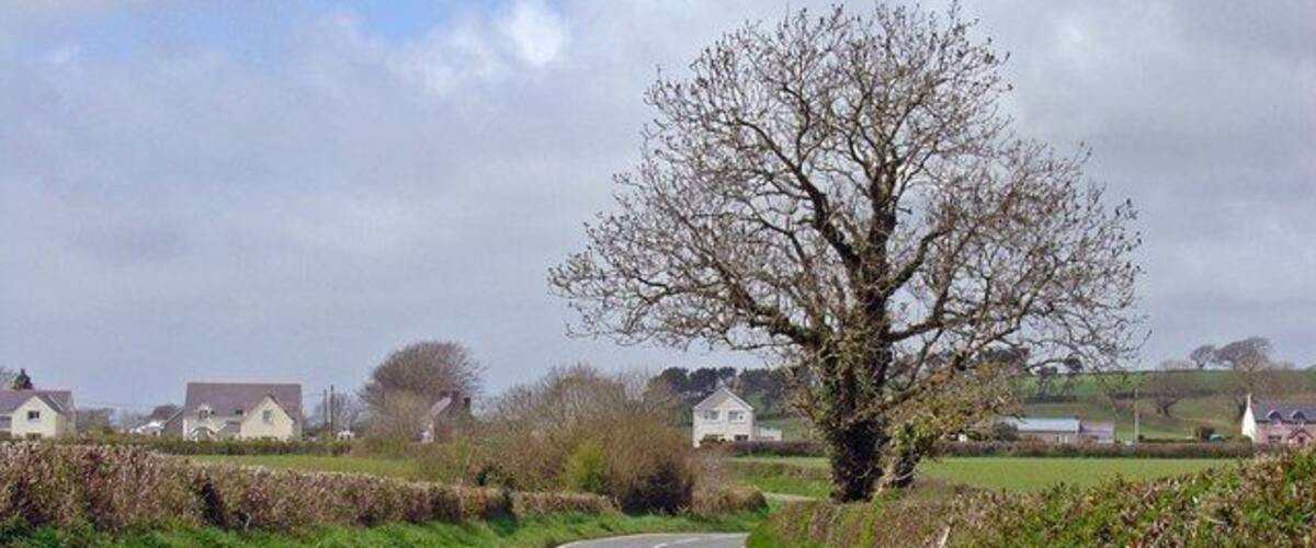 A rural road curving through a countryside with houses and a large tree on the side.