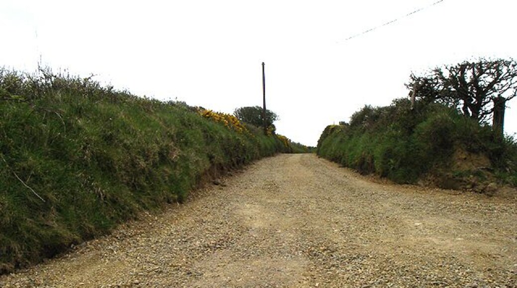 Lane. The lane to 'Simpson Hill'.