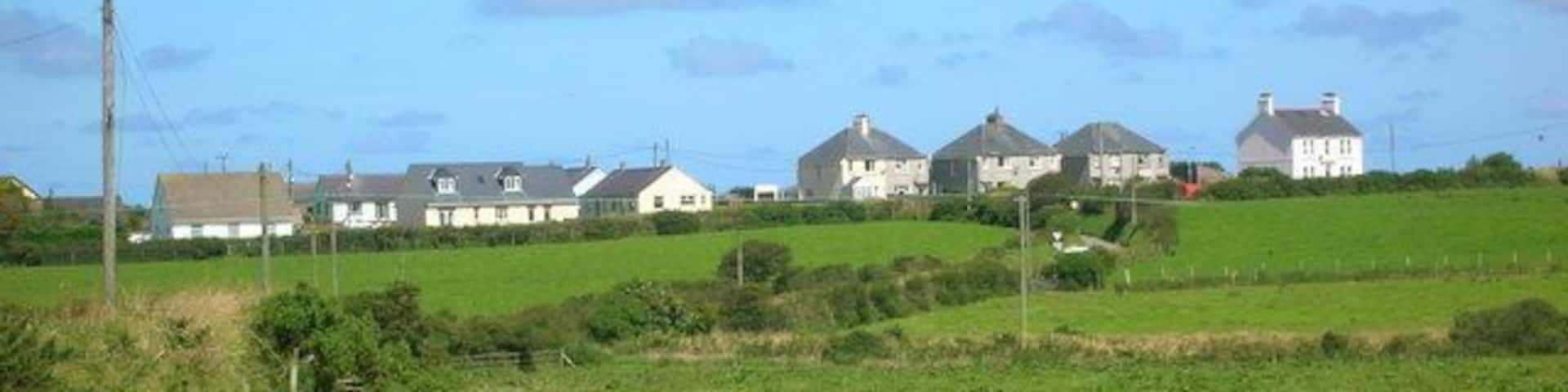 Houses on the Fishguard Road