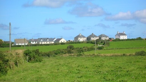 Houses on the Fishguard Road