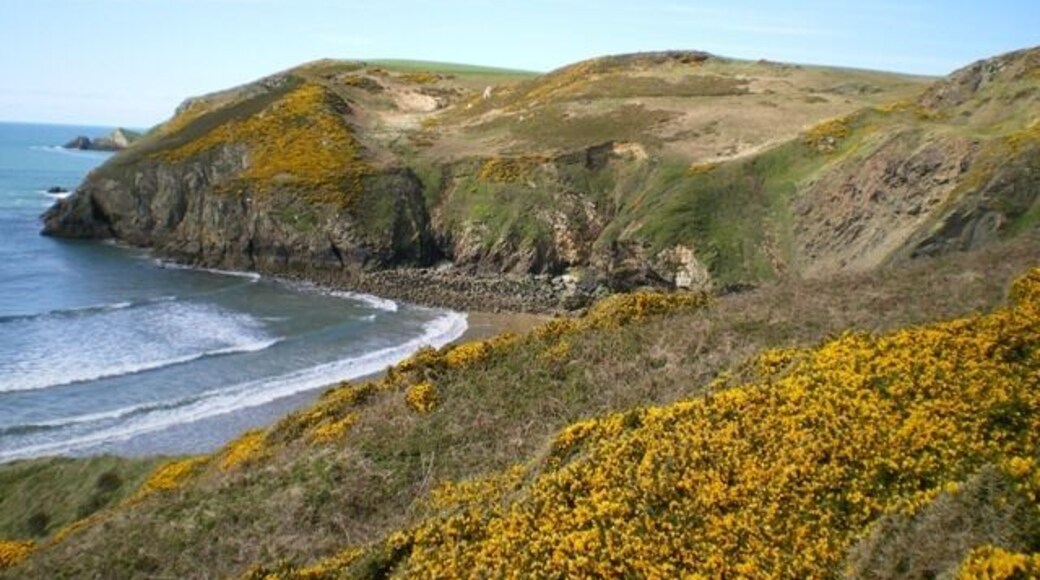 Cwm Bach cove The small bay of Cwm Bach.