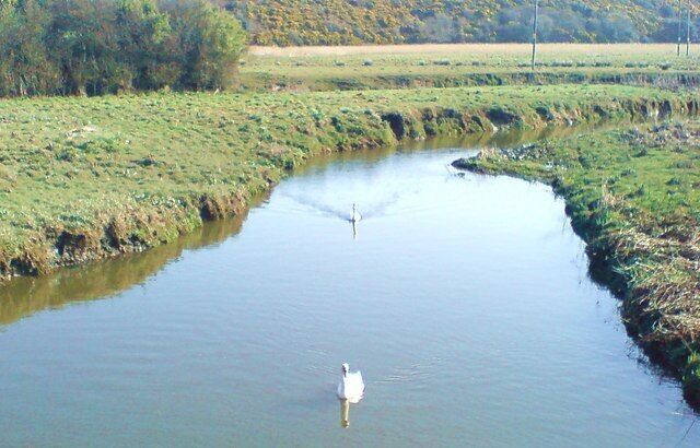 Un río con un cisne nadando, rodeado de riberas cubiertas de hierba y un paisaje montañoso al fondo.