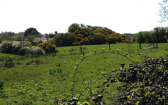 Motte. The Motte to the north of St.Ishmael's.