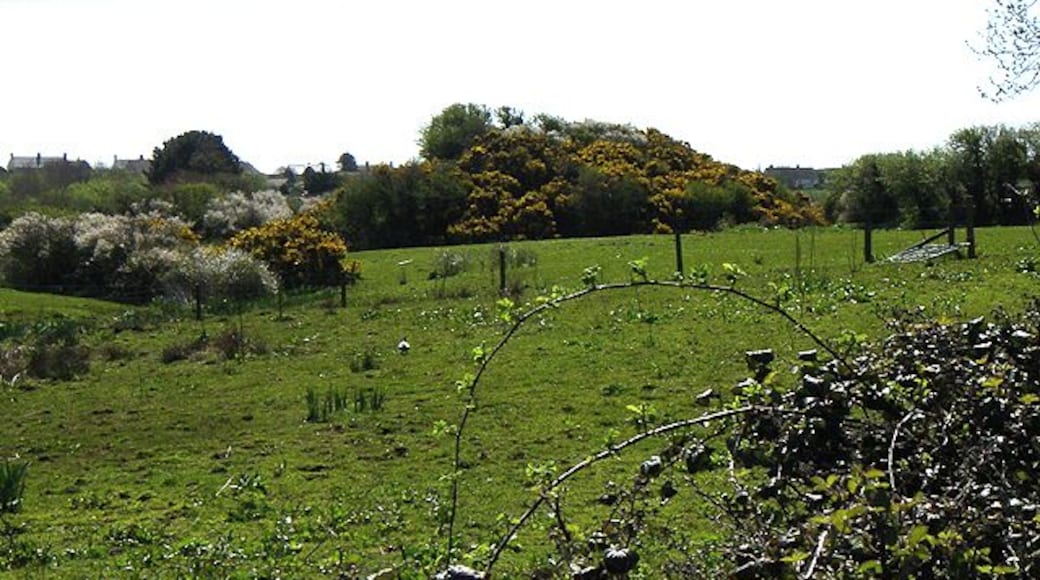 Motte. The Motte to the north of St.Ishmael's.