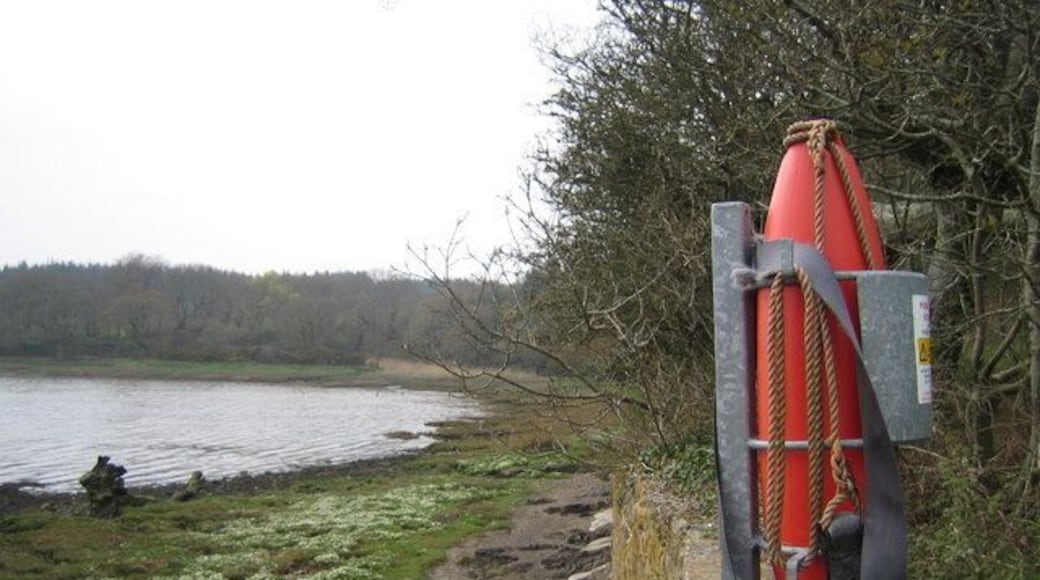 Eastern Cleddau. From the old ferry pier by Ferry Cottages.