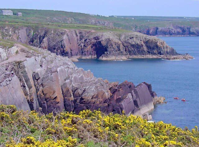 A coastal landscape with rocky cliffs, a clear blue sea, and yellow flowers in the foreground.