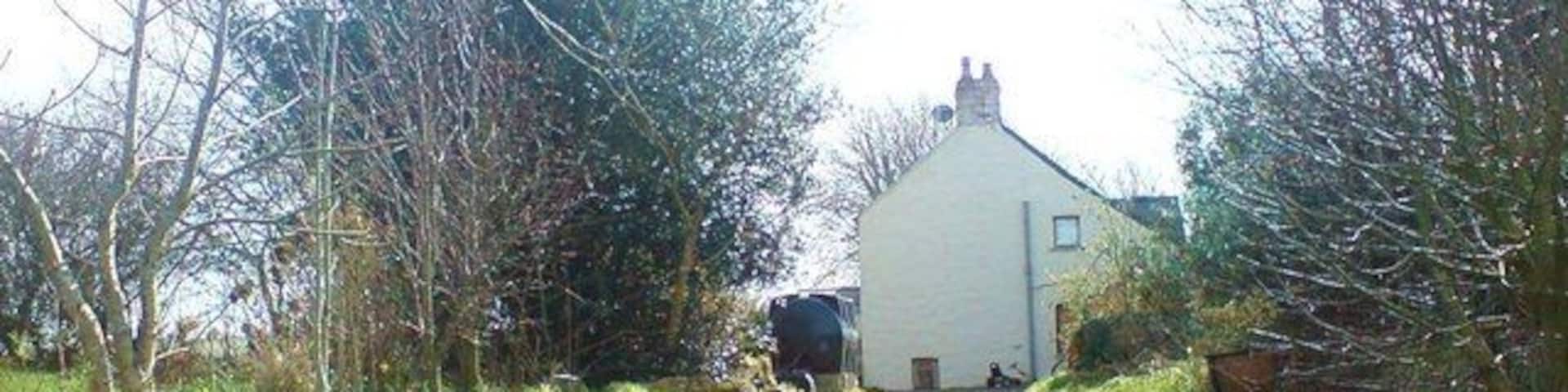 Hayscastle Tump - a Bronze Age Round Barrow Hidden in the trees behind the house, Brynamlwg (which translates as 'Prominent Hill') the Bronze Age barrow is 32 metres diameter by 2 metres high. There was once evidence of funerary ware such as cremation urns and an upright stone was thought to act as a prop. Link www.historicwales.gov.uk