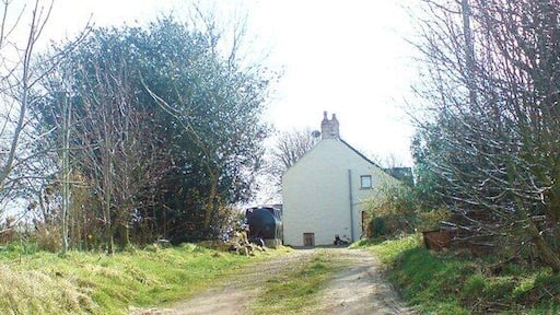 Hayscastle Tump - a Bronze Age Round Barrow Hidden in the trees behind the house, Brynamlwg (which translates as 'Prominent Hill') the Bronze Age barrow is 32 metres diameter by 2 metres high. There was once evidence of funerary ware such as cremation urns and an upright stone was thought to act as a prop. Link www.historicwales.gov.uk