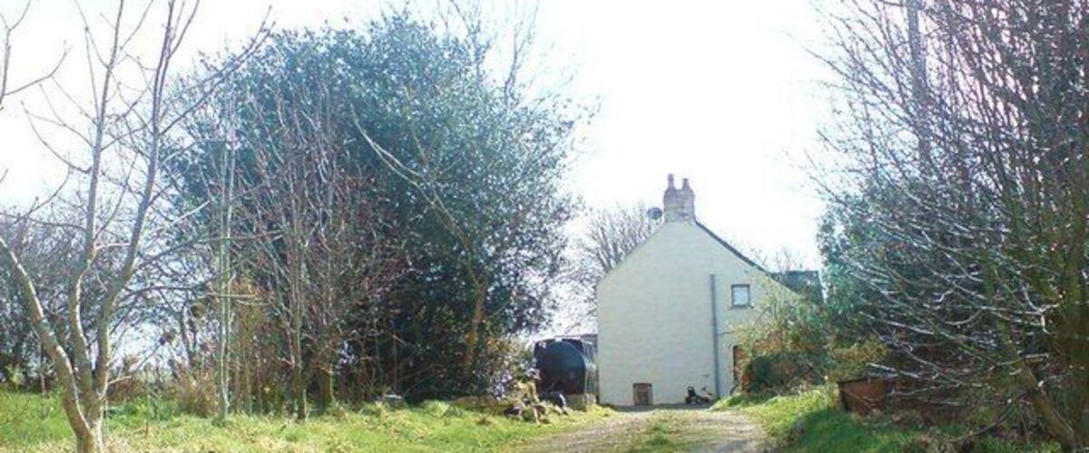 A rural road leading to a white house surrounded by trees and grass.