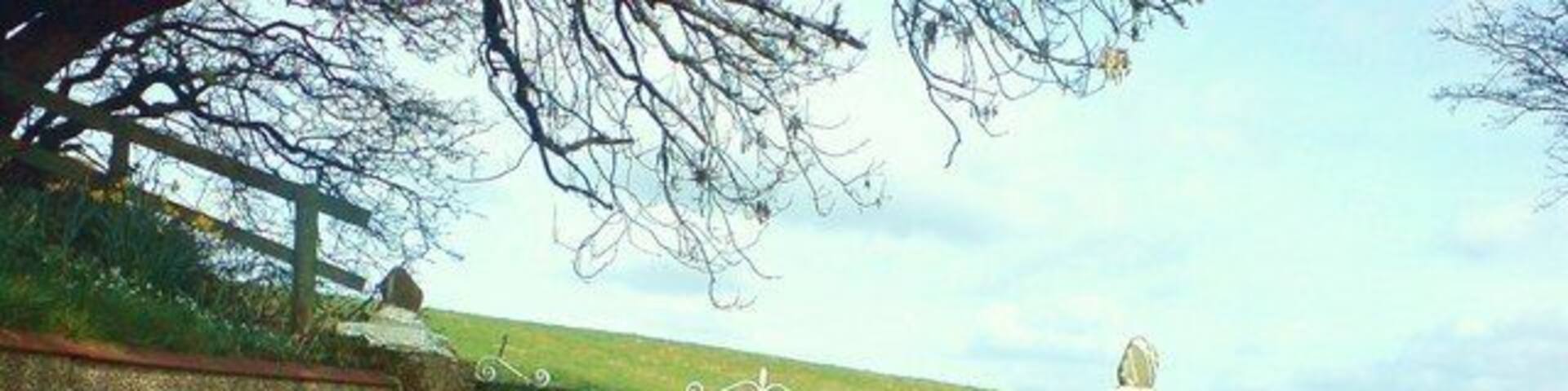 Entrance to Cox Heath or Cocks Heath as written on maps It's OK - it's not you that's lopsided. Everything is on the slant!