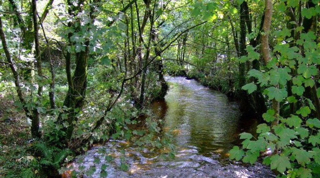 Afon Anghof River seen flowing towards the footbridge a short distance away from the road bridge.