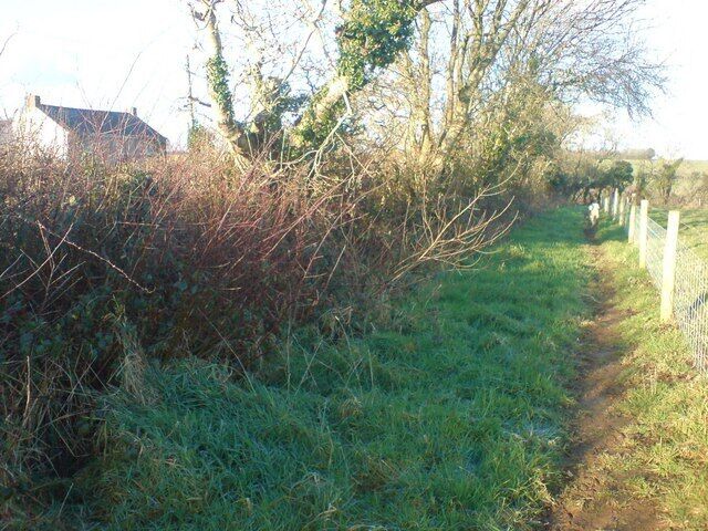 A rural path with overgrown vegetation and a fence on one side.