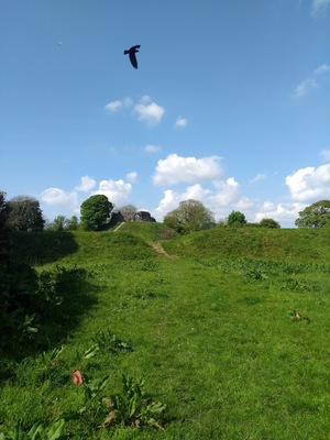 View of Wiston Castle