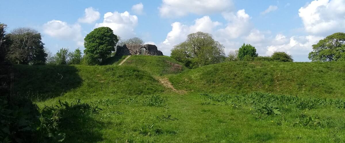 A grassy hill with a path, trees, and a bird flying in the sky.