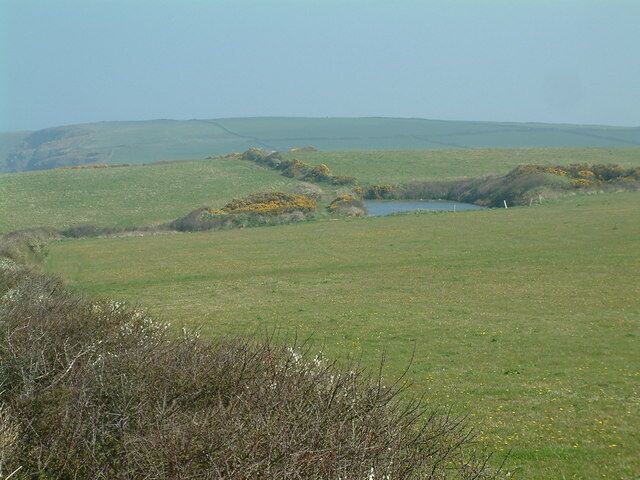 Fields and pond near Musselwick Sands A view from the footpath to Musselwick Sands from Marloes
