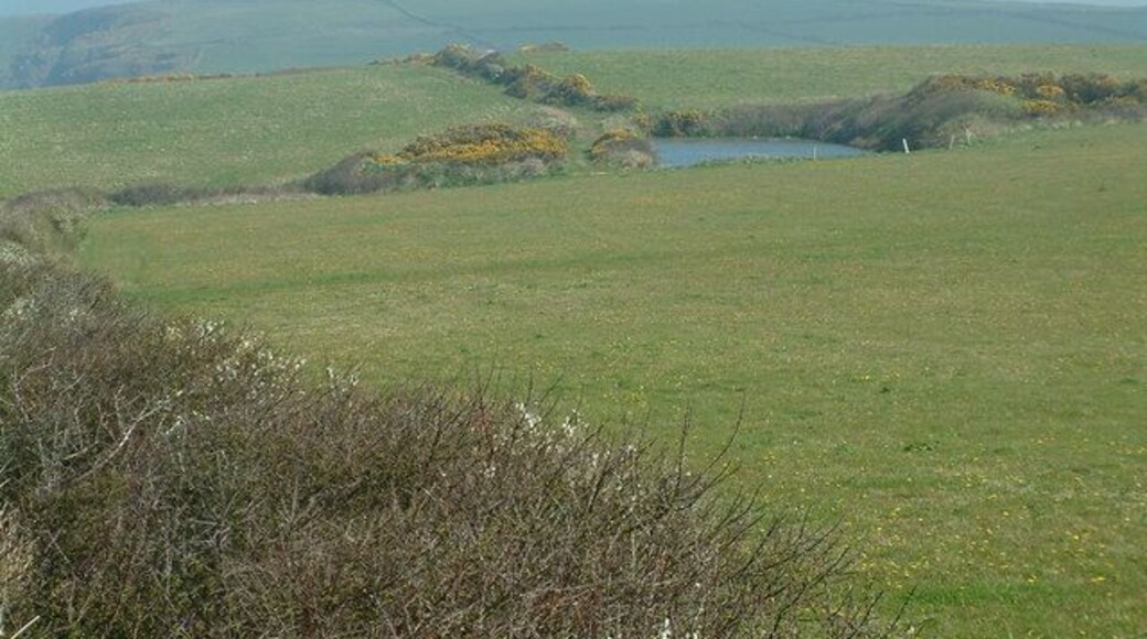 Fields and pond near Musselwick Sands A view from the footpath to Musselwick Sands from Marloes