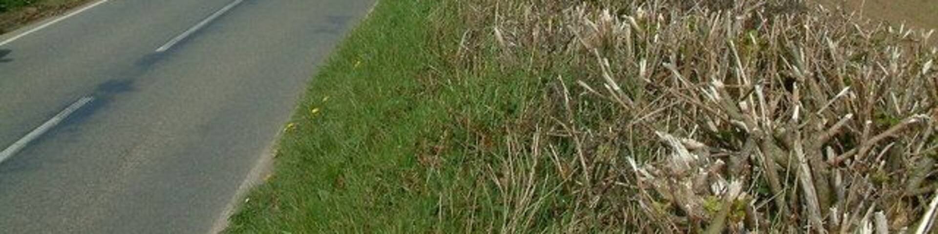 B4327, hedges and fields The B4327 road runs through this square, and is bounded by stone and earth hedges topped with shrubs. Rosepool Farm can be seen in the distance.