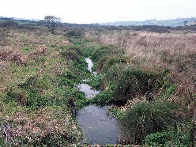 Cleddau Wen. This photo taken very near the source of the Western Cleddau, the area is of course very marshy with many springs.As it flows to the sea it collects many more tributaries and finally becomes the famous haven at Milford Haven.
