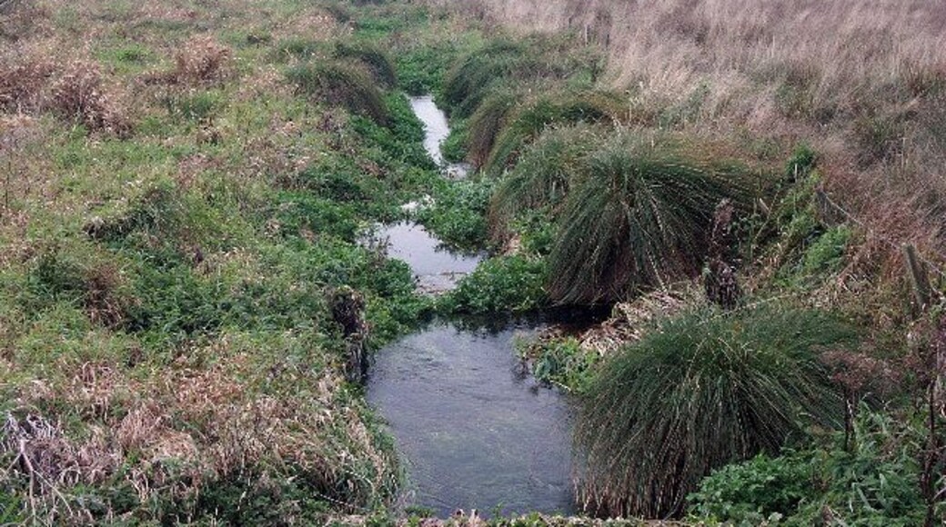 Cleddau Wen. This photo taken very near the source of the Western Cleddau, the area is of course very marshy with many springs.As it flows to the sea it collects many more tributaries and finally becomes the famous haven at Milford Haven.