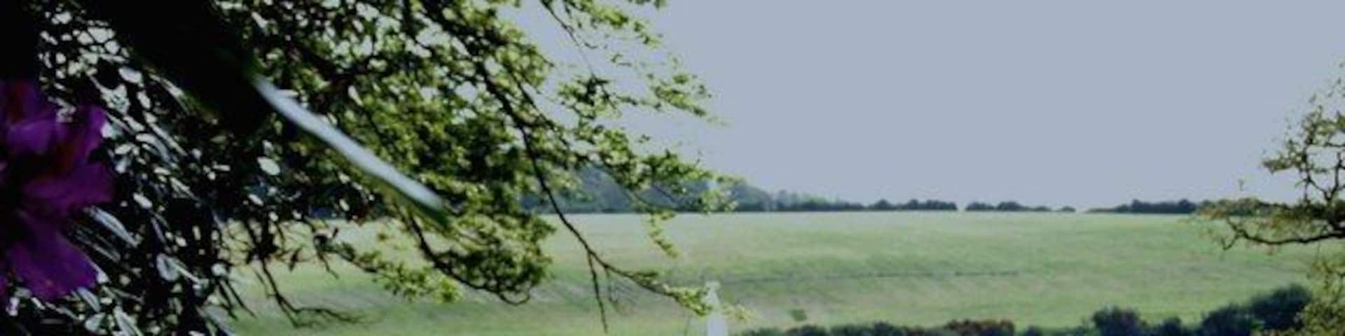 Western Cleddau - Upper reaches Small creek just South of Black Hill. The Western Cleddau is navigable up to Haverfordwest, but only with a shallow draught boat and with a high tide. There is extensive mixed woodland on the western shore with Rhododendron in flower in May.