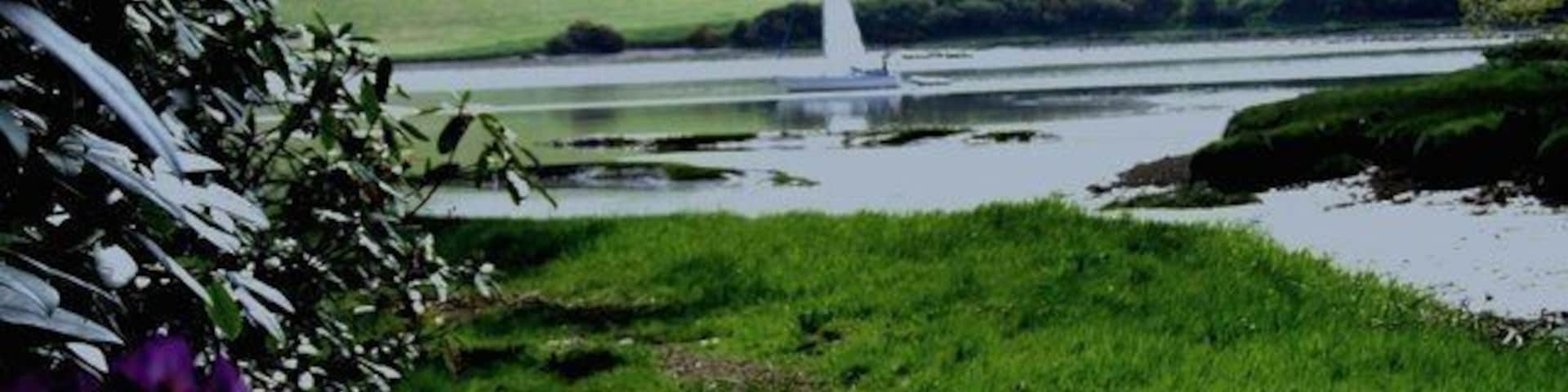 Western Cleddau - Upper reaches Small creek just South of Black Hill. The Western Cleddau is navigable up to Haverfordwest, but only with a shallow draught boat and with a high tide. There is extensive mixed woodland on the western shore with Rhododendron in flower in May.