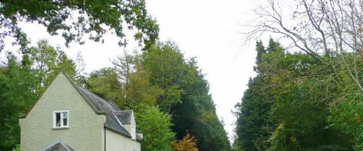 A rural road leading to a house with a gated entrance, surrounded by trees and greenery.