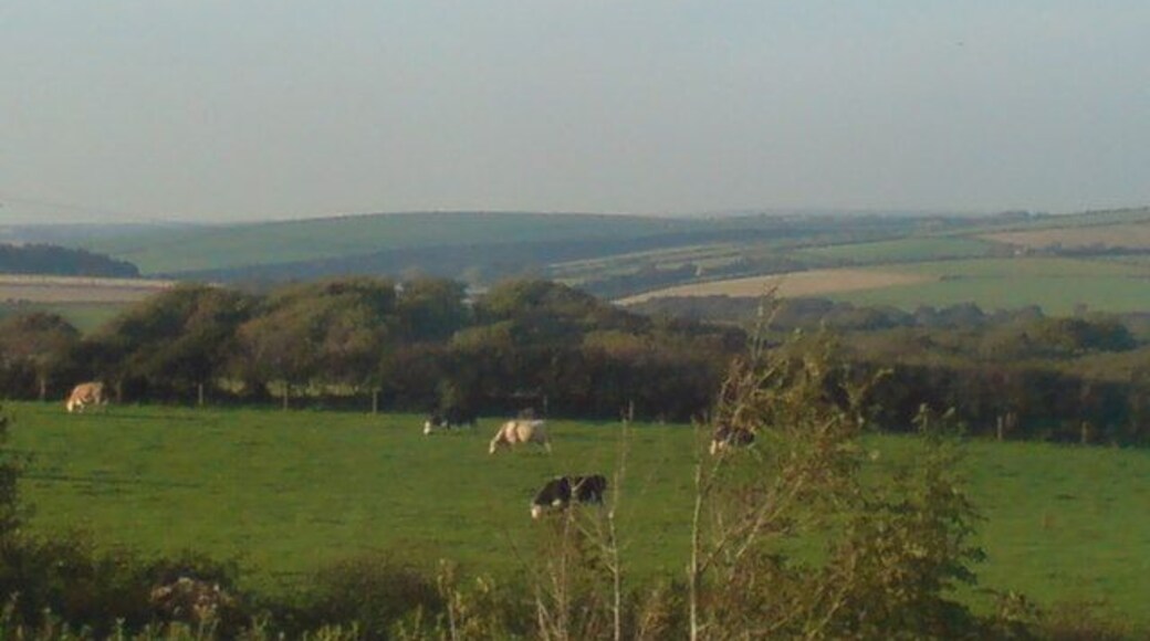 Views to Ferny Glen Ferny Glen is situated near the far hill which is transversed by the ice age rift through which Brandy Brook runs. The field in the foreground has been a delight all year as it's been home to cows and playful calves.