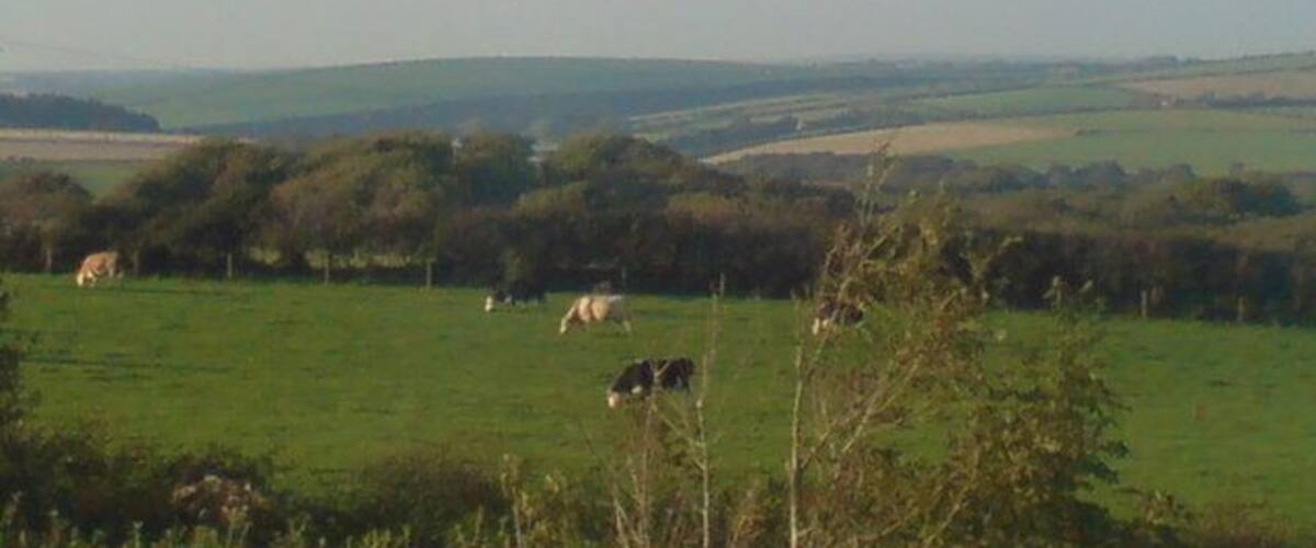 A rural landscape with grazing animals and rolling hills in the distance.