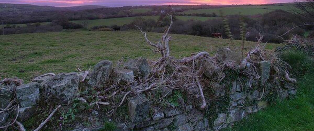 Un paysage rural avec un mur de pierres, des collines ondoyantes et un ciel au coucher du soleil.