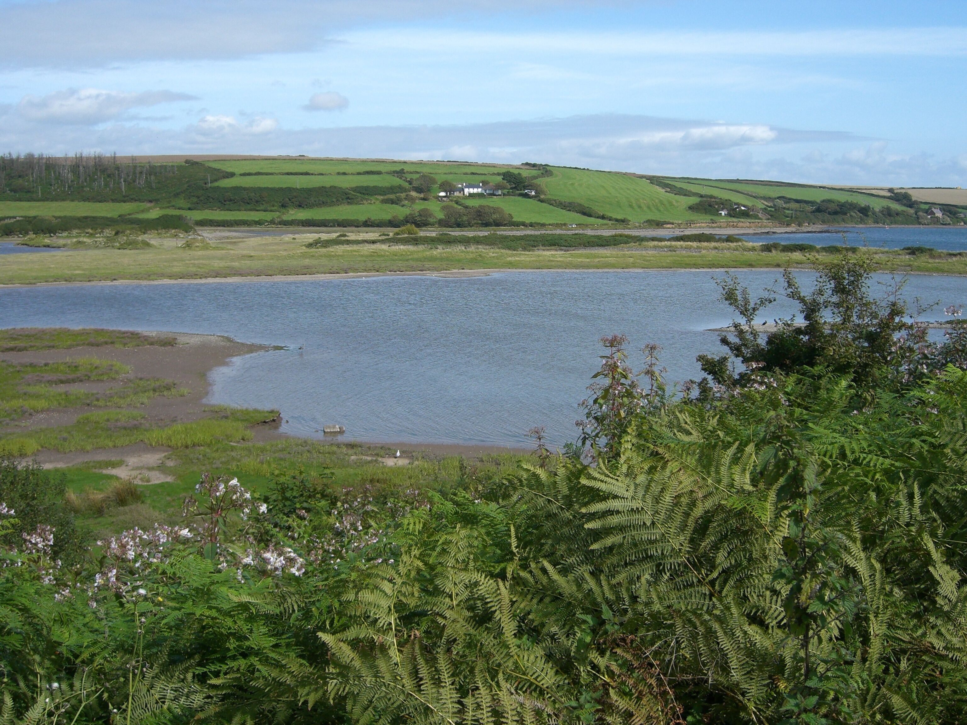 Dale Estuary