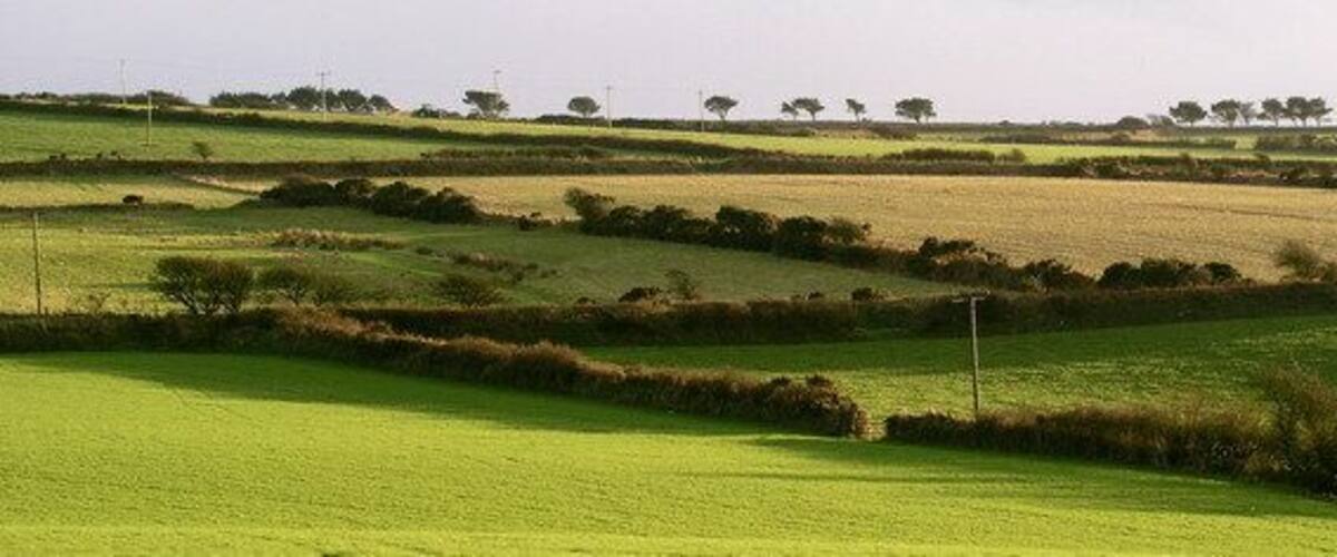 Pembrokeshire Fields near Mathry.