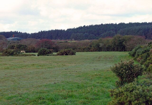 Robleston Mountain, Camrose