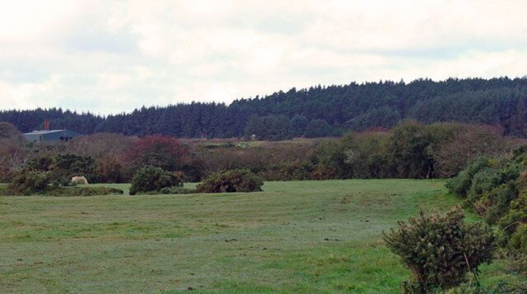 Robleston Mountain, Camrose