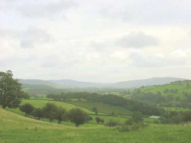 Furrow Hill. Looking east from the Offa's Dyke Path towards Green Wood. The hills of North-West Herefordshire in the distance