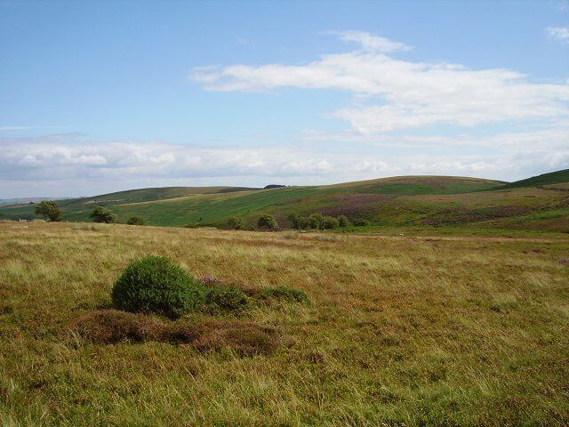 Beacon Hill. Moorland between the main summit and Pool Hill. The edge of the farmland running up from Fron Barn can be seen as a line of hawthorn trees.
