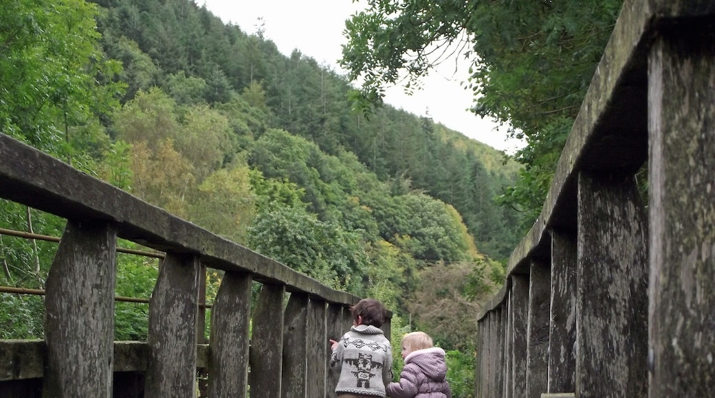 Setting out for a jaunt along Offa's Dyke