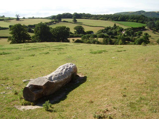 Pits. Field between Middle and Upper Pits farms.