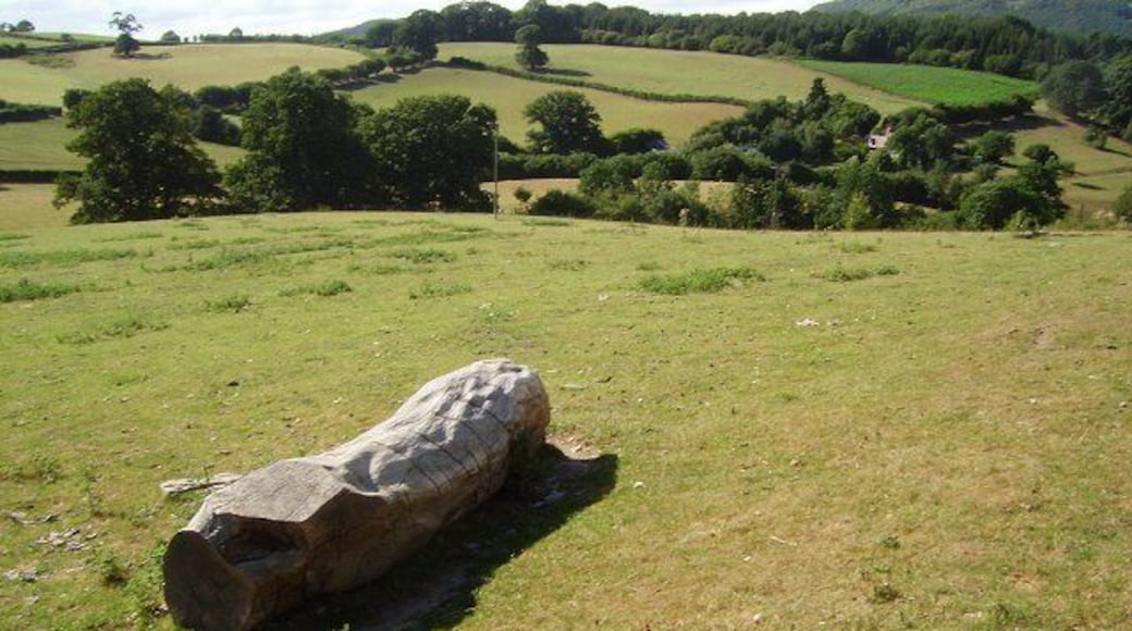 Pits. Field between Middle and Upper Pits farms.