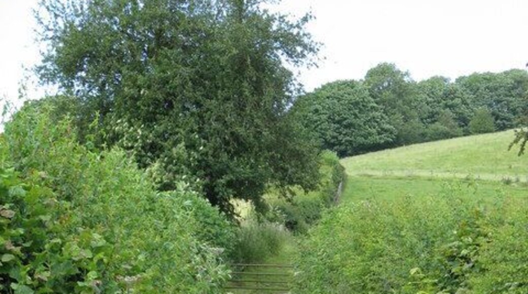 Path to nowhere A footpath off the A488 east of Bleddfa which ends in the middle of nowhere.