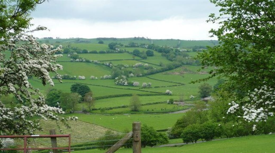 The RiverTeme I took this photo of the River Teme in the valley below, while standing on a hill at Brandy House Farm.