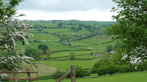 The RiverTeme I took this photo of the River Teme in the valley below, while standing on a hill at Brandy House Farm.