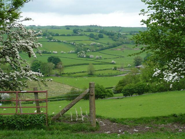 A rural landscape with rolling hills, green fields, and a wooden gate.
