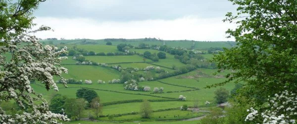 A rural landscape with rolling hills, green fields, and a wooden gate.