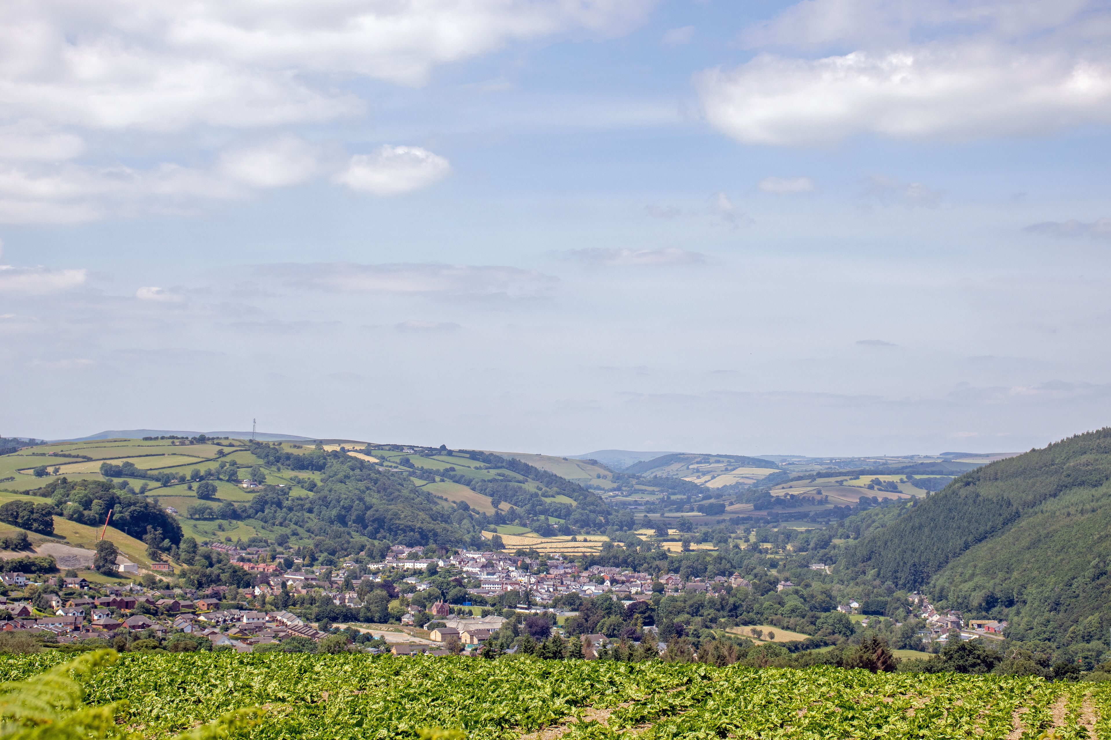 A town nestled in rolling hills with vineyards in the foreground.